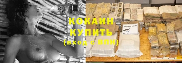 сатива Кострома
