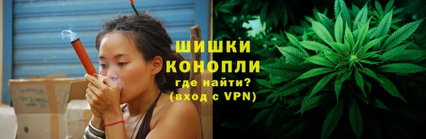 ПСИЛОЦИБИНОВЫЕ ГРИБЫ Мурманск