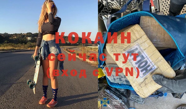 сатива Кострома