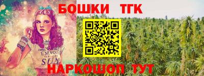 крисы Беслан