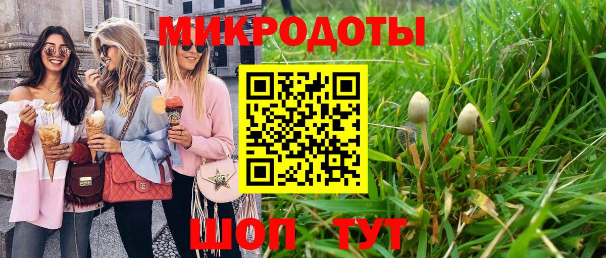 Галлюциногенные грибы GOLDEN TEACHER Волхов
