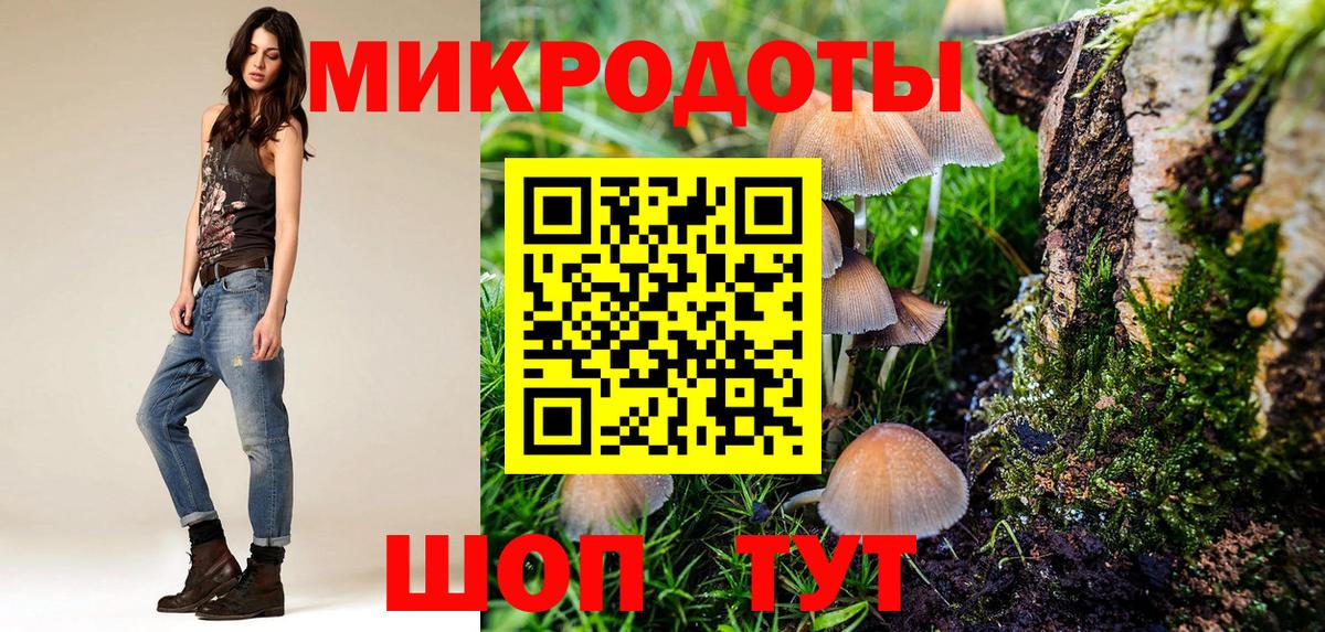 купить закладку  Псилоцибиновые грибы прущие грибы  Вход с VPN  Волхов 
