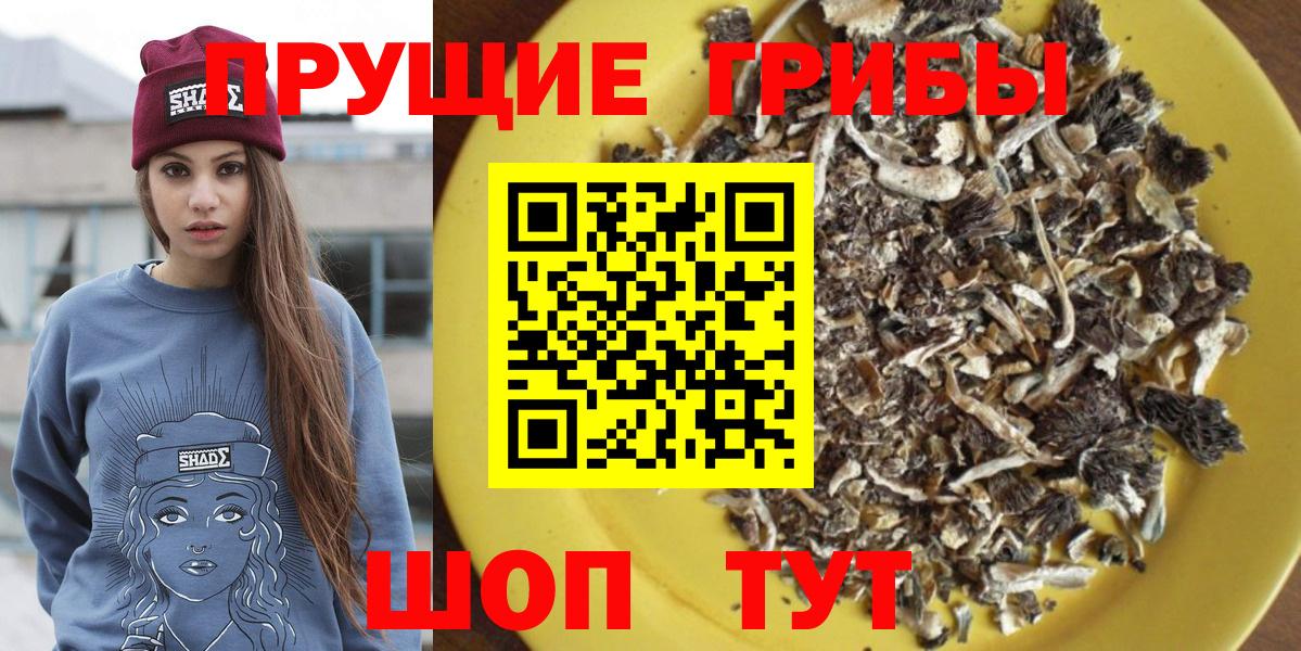 A PVP Волхов